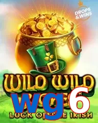 wg6