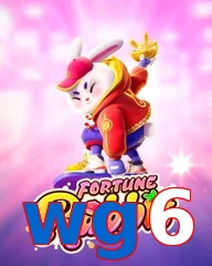 wg6