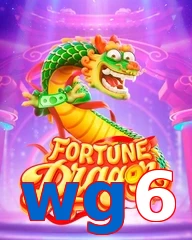 wg6